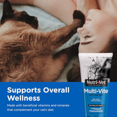 Nutri-Vet Texture Gel Patte: texture lisse facilitant l’application et l’acceptation du chat