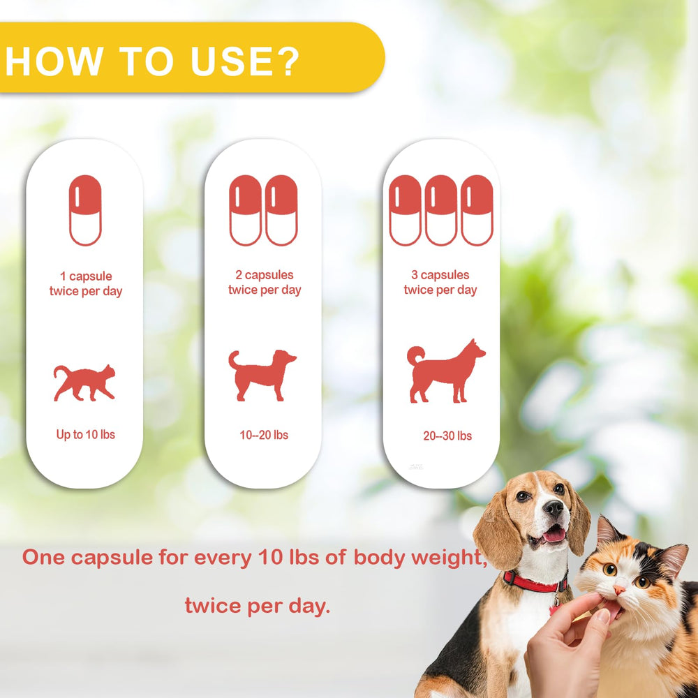 Nutriarise Immunité Défense – illustration énergie, bénéfice potentiel pour l’endurance des animaux.