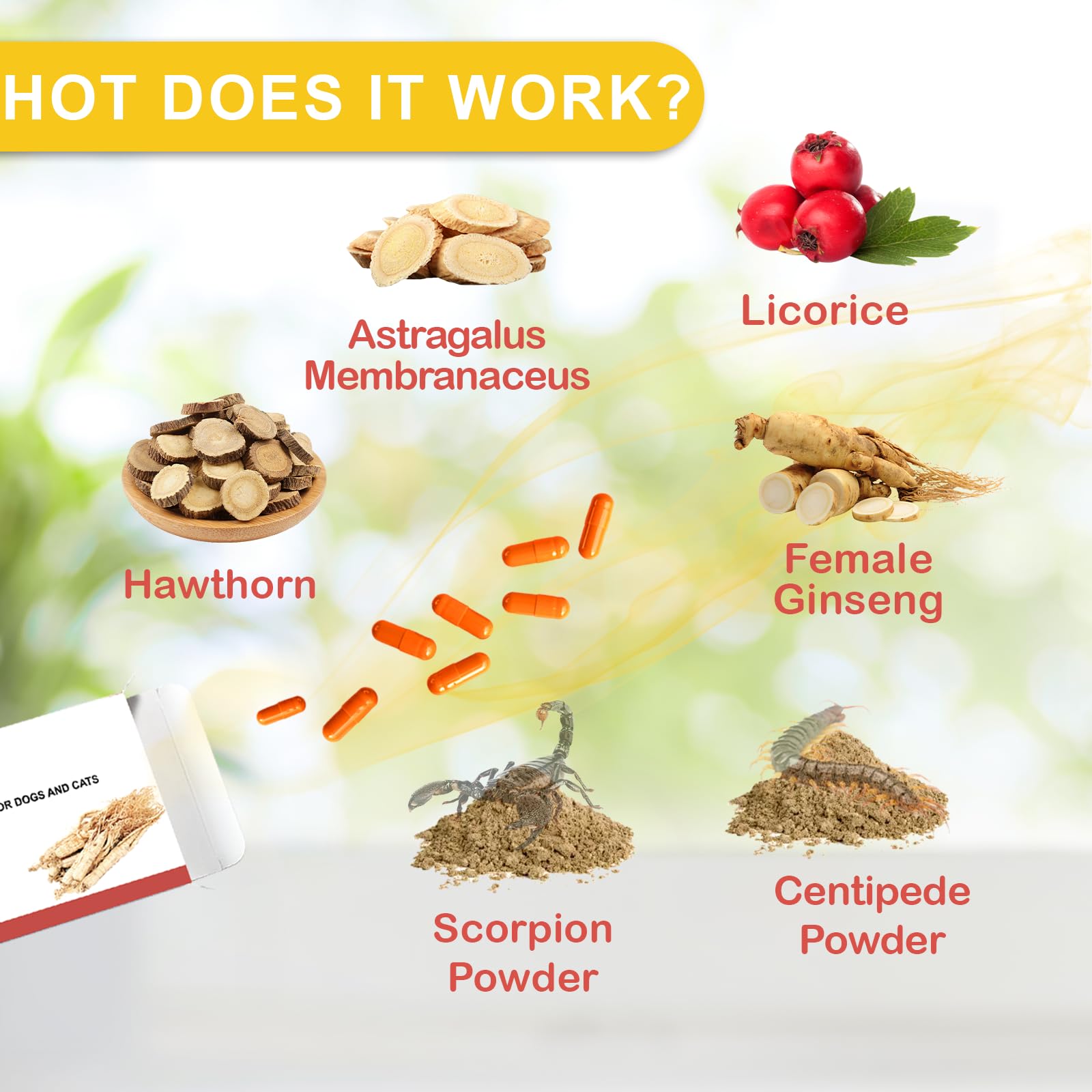 Nutriarise Immunité Défense – image d’un animal, utilisation potentielle pour soutenir énergie et vitalité.