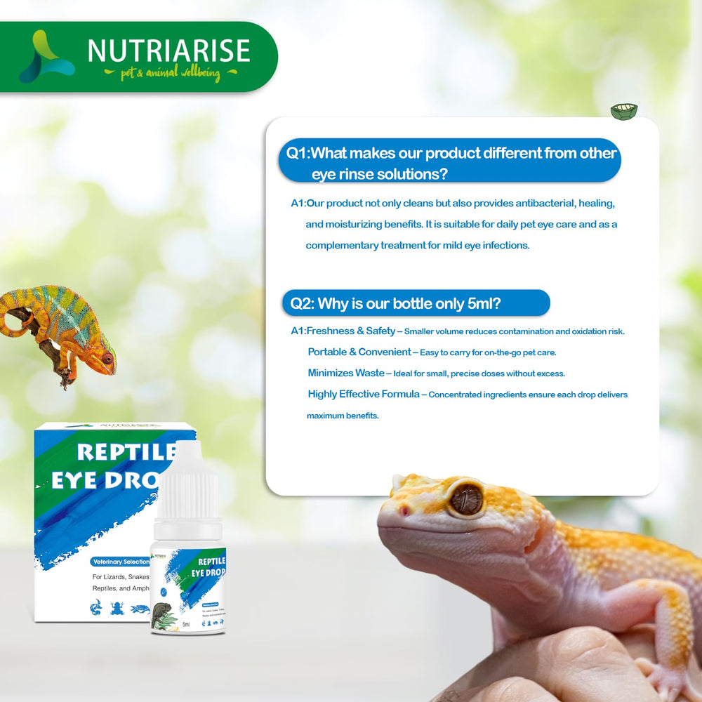 Utilisation quotidienne autour des yeux des reptiles pour confort et propreté.