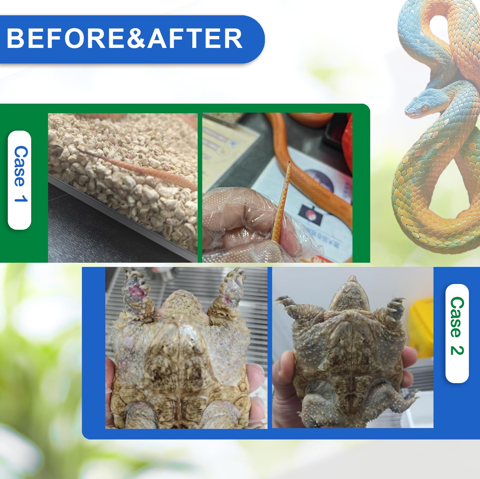 Nutriarise : utilisation pratique en routine peau reptile sans effort.