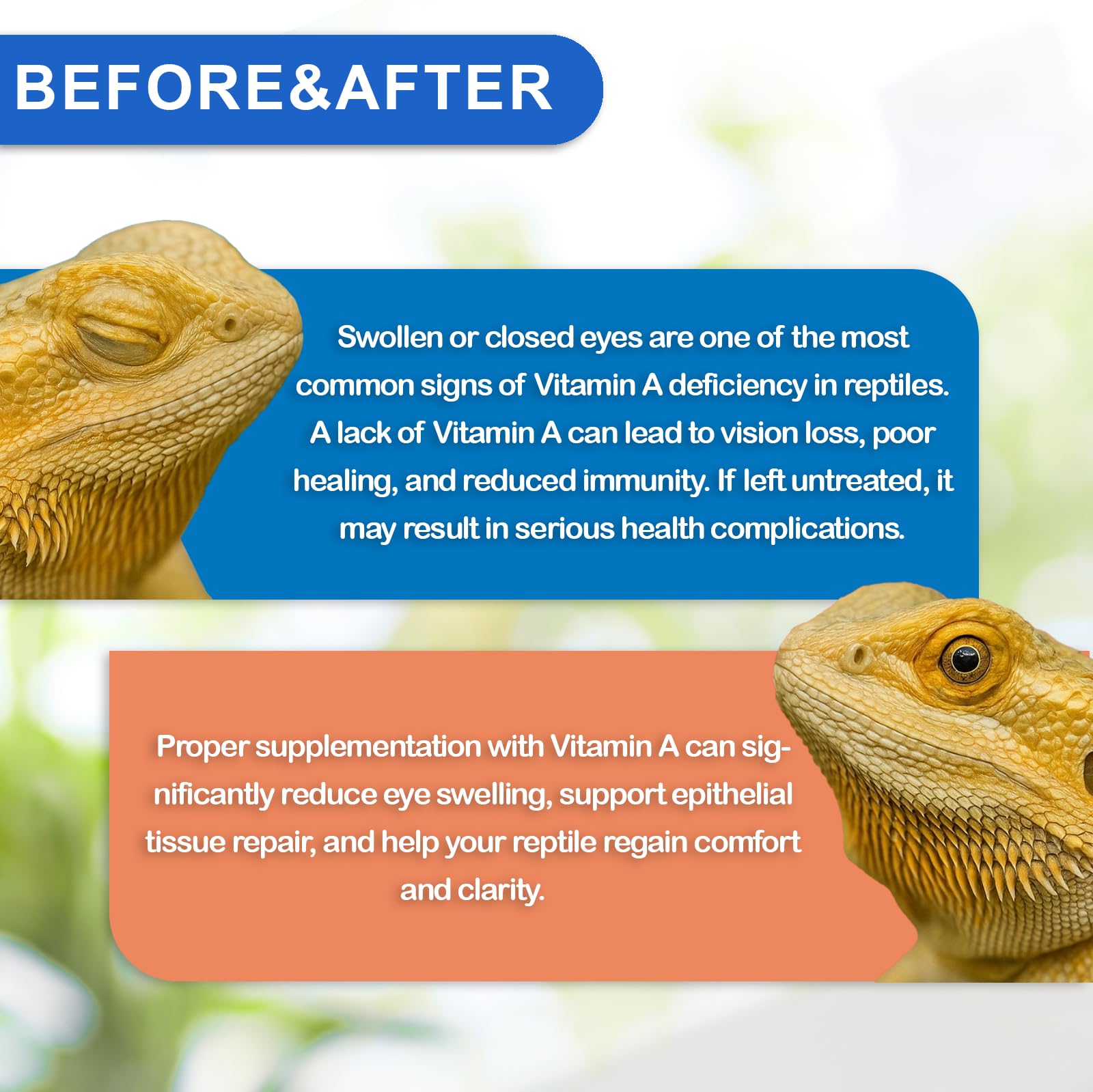 NUTRIARISE Vitamine A – usage hebdomadaire sûr et recommandé par des vétérinaires.