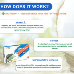 NUTRIARISE Vitamine A – préparation pour reptiles, mélange facile dans la nourriture.