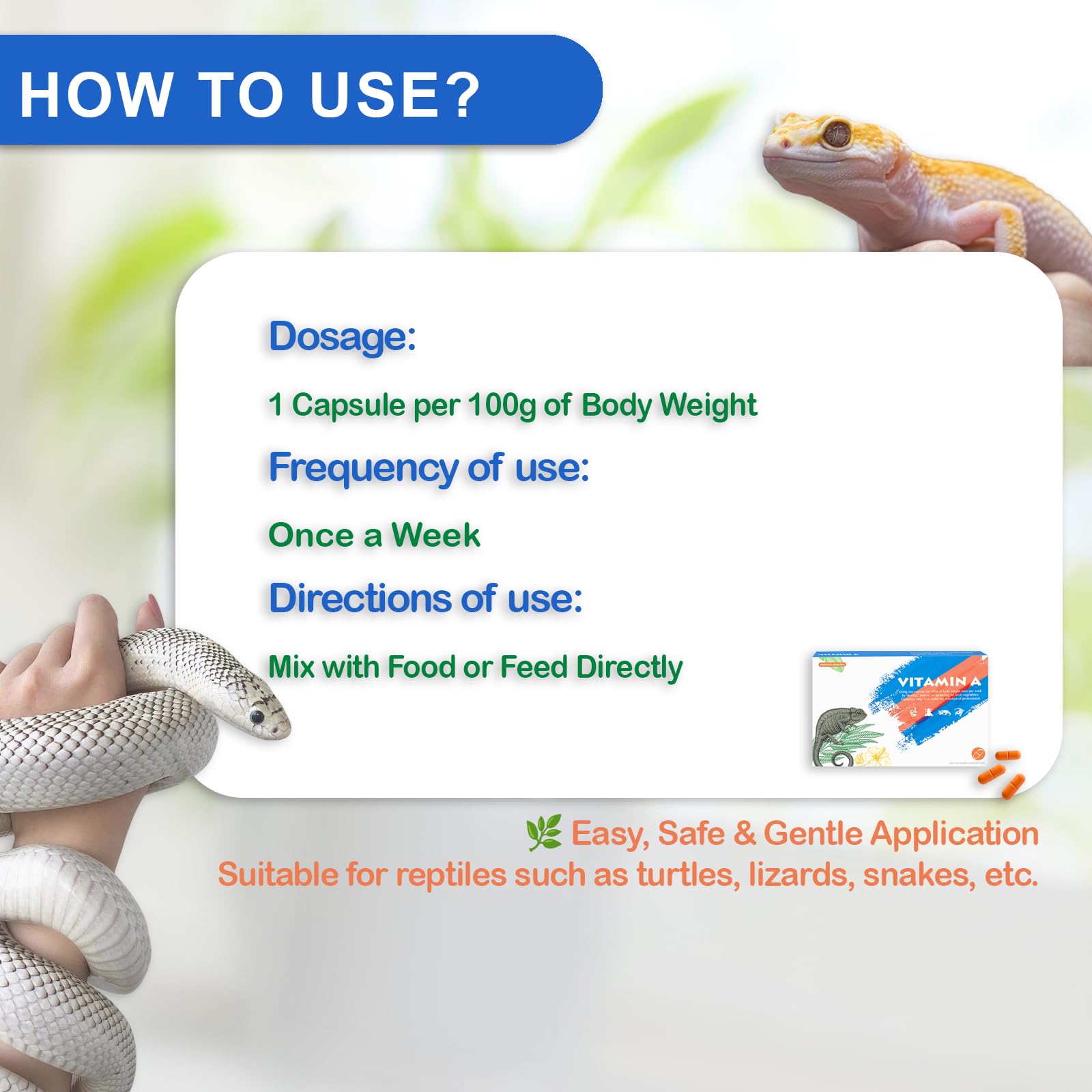 NUTRIARISE Vitamine A pour reptiles – soutien potentiel à la vision et au système immunitaire.
