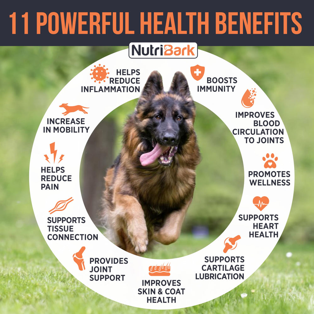 Nutribark glucosamine chien, ingrédients omega3 pour le soutien articulaire.