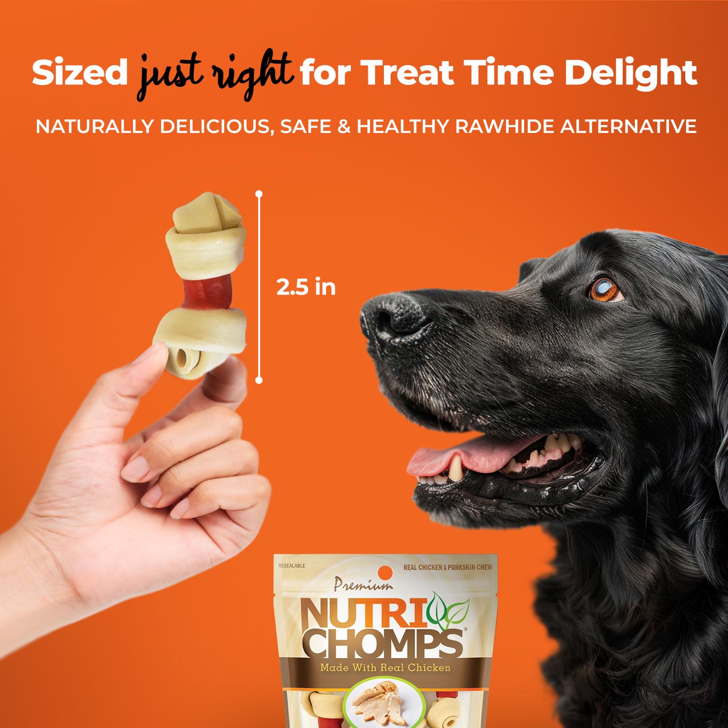 NutriChomps Goût poulet-beurre d'arachide-lait, option savoureuse pour chiens difficiles.