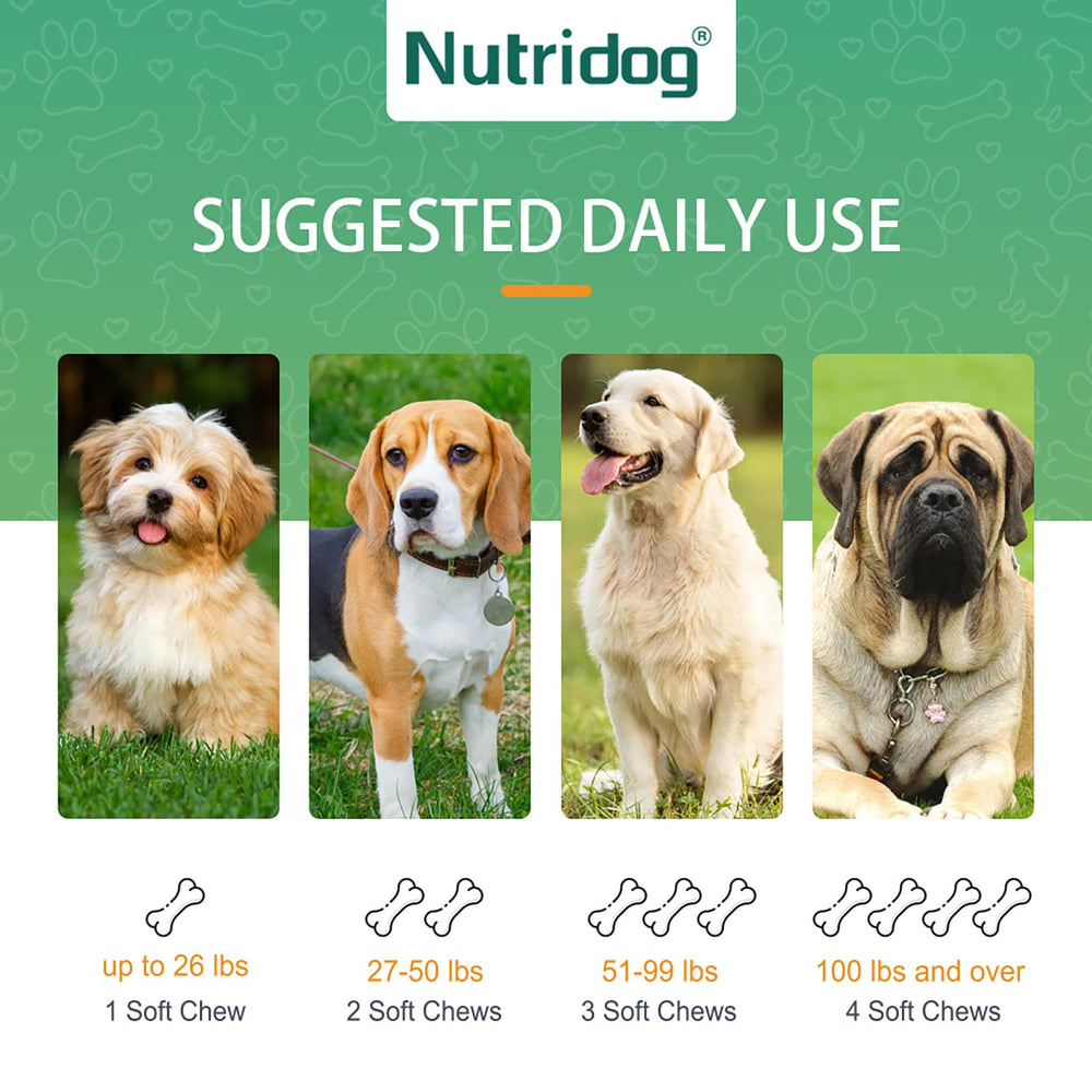 Nutridog Allergy Chews bocal 120 : conditionnement pratique et durable.