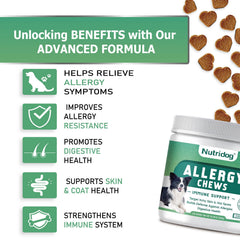 Nutridog Allergy Chews probiotiques 300M : soutien digestif potentiel.
