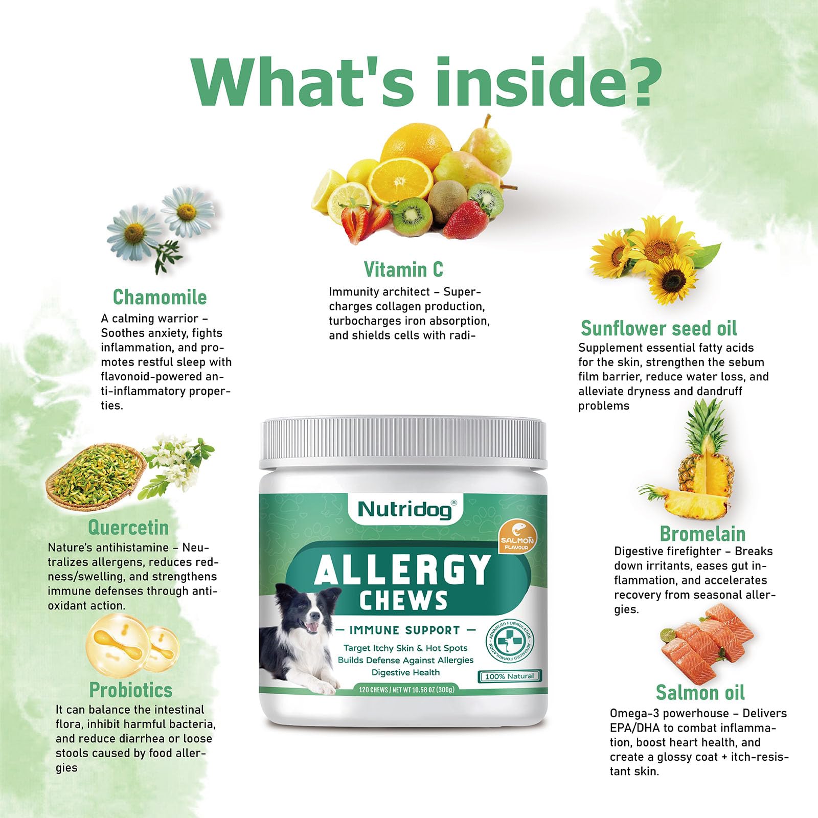 Nutridog Allergy Chews goût saumon : saveur naturelle attirant les chiens.