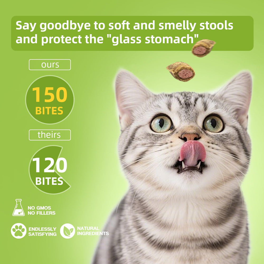 Nutridog Probiotiques pour chats — enzymes digestives et potiron pour le transit