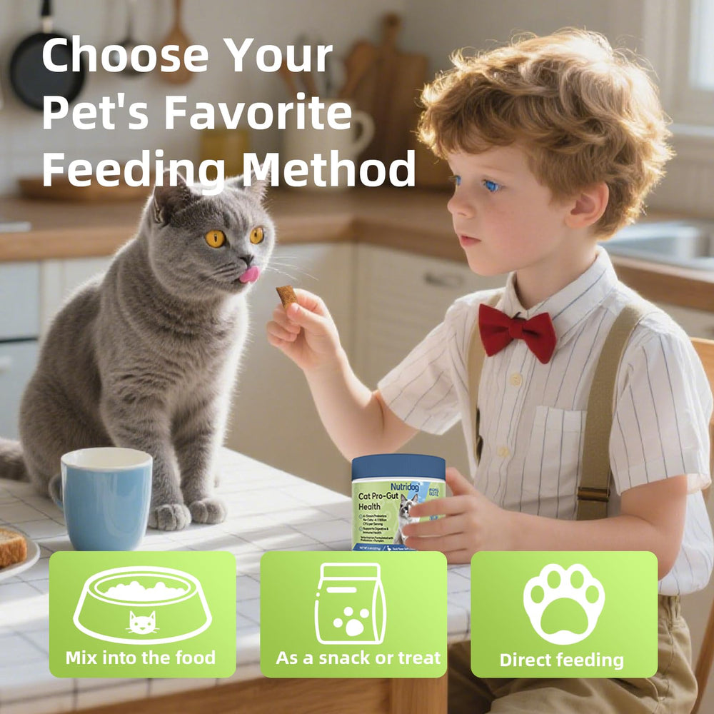 Nutridog Probiotiques pour chats — taurine et prébiotiques