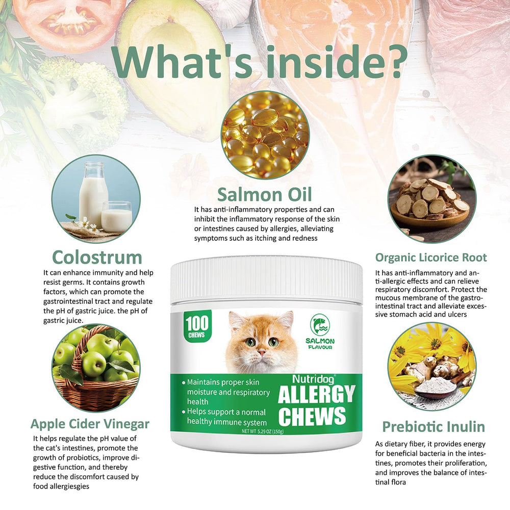 Nutridog friandises saumon, gros plan texture appétente pour chats difficiles.