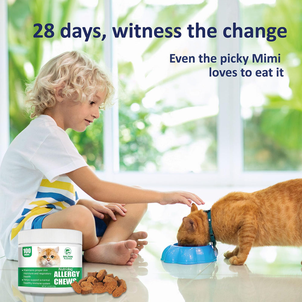 Nutridog dosage pratique chat, mode d’emploi clair pour administration facile.
