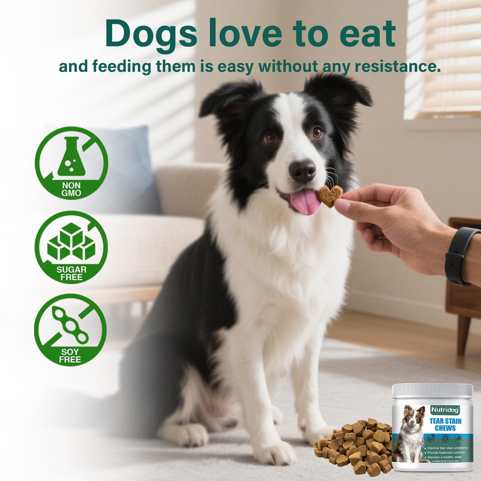 Goût boeuf Nutridog appétissant, faciliter l’administration quotidienne.