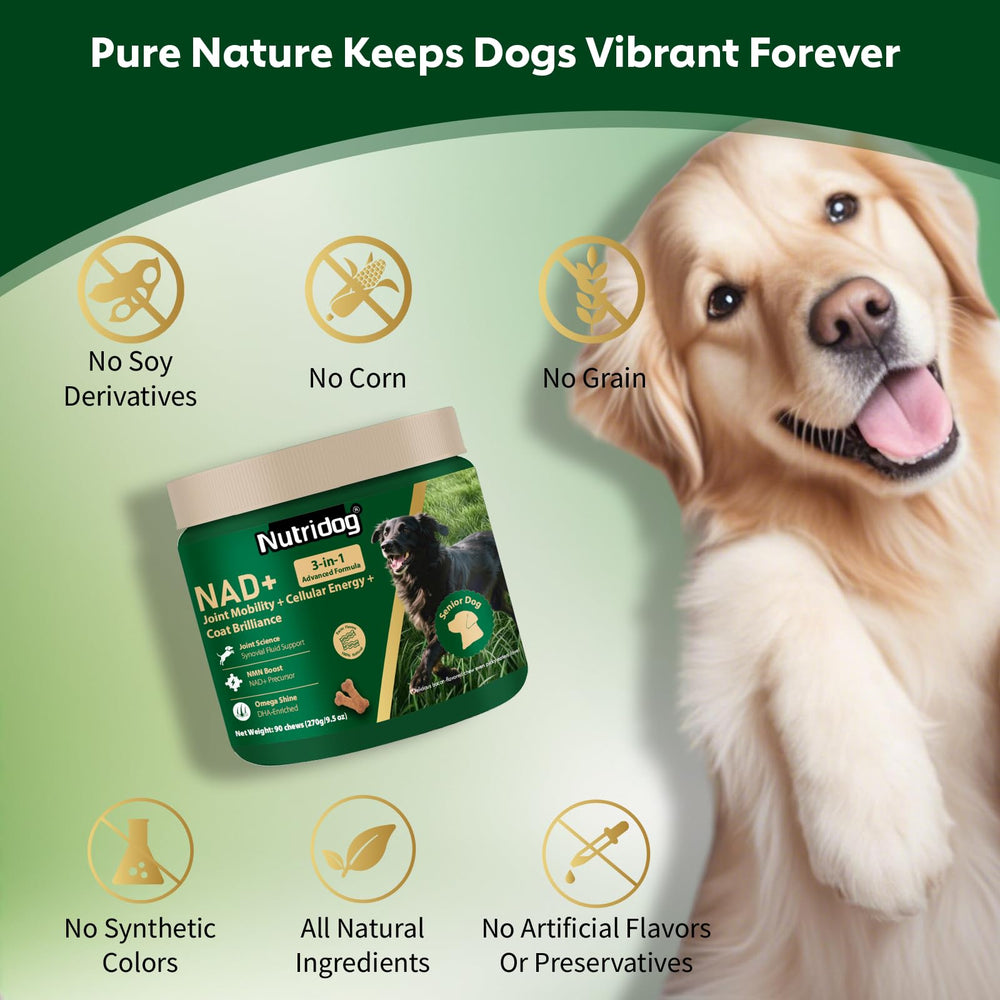 Nutridog NMN articulations et flexibilité: mobilité améliorée au quotidien.