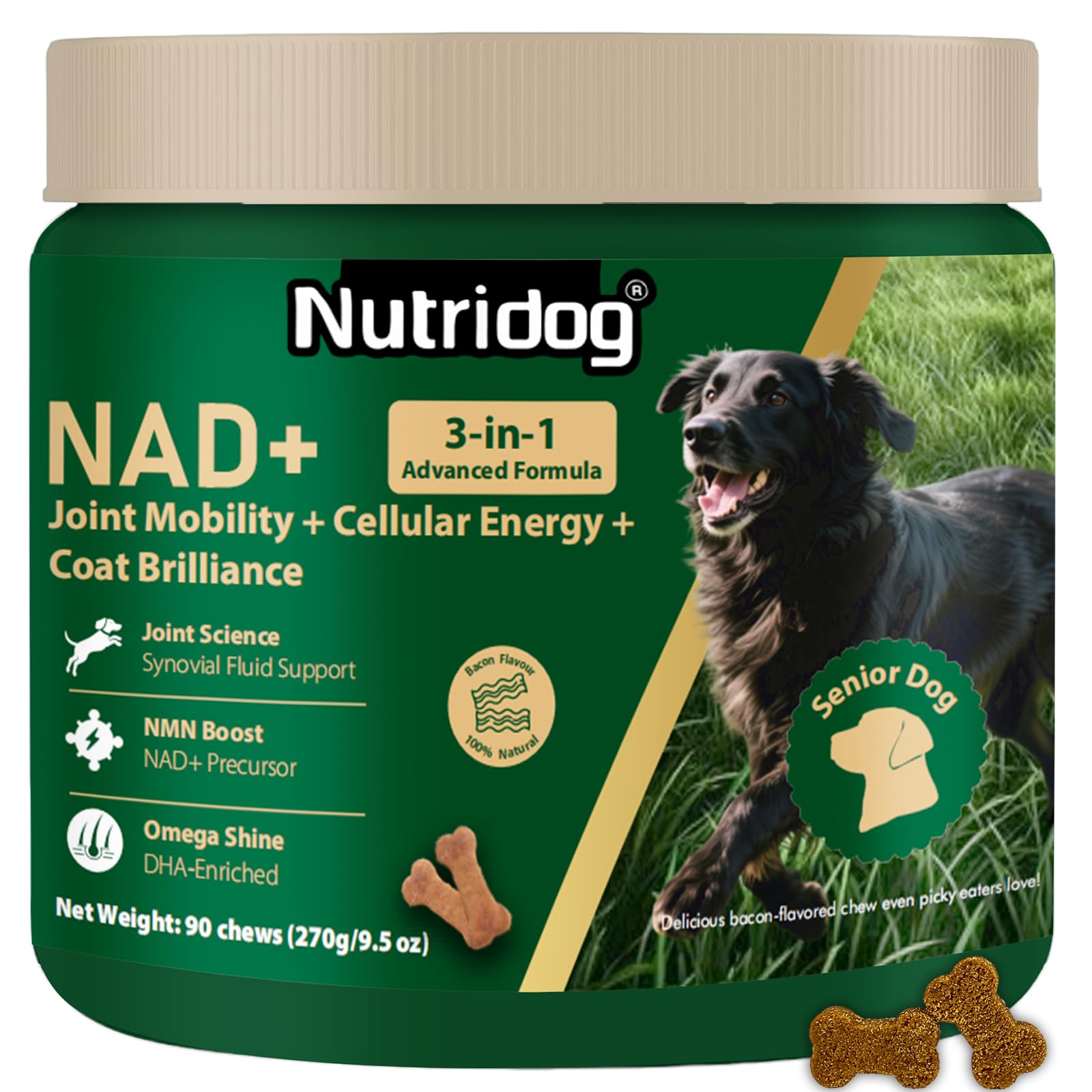 Nutridog NMN bouteille: flacon pratique pour dosage quotidien et énergie durable chez le chien âgé.