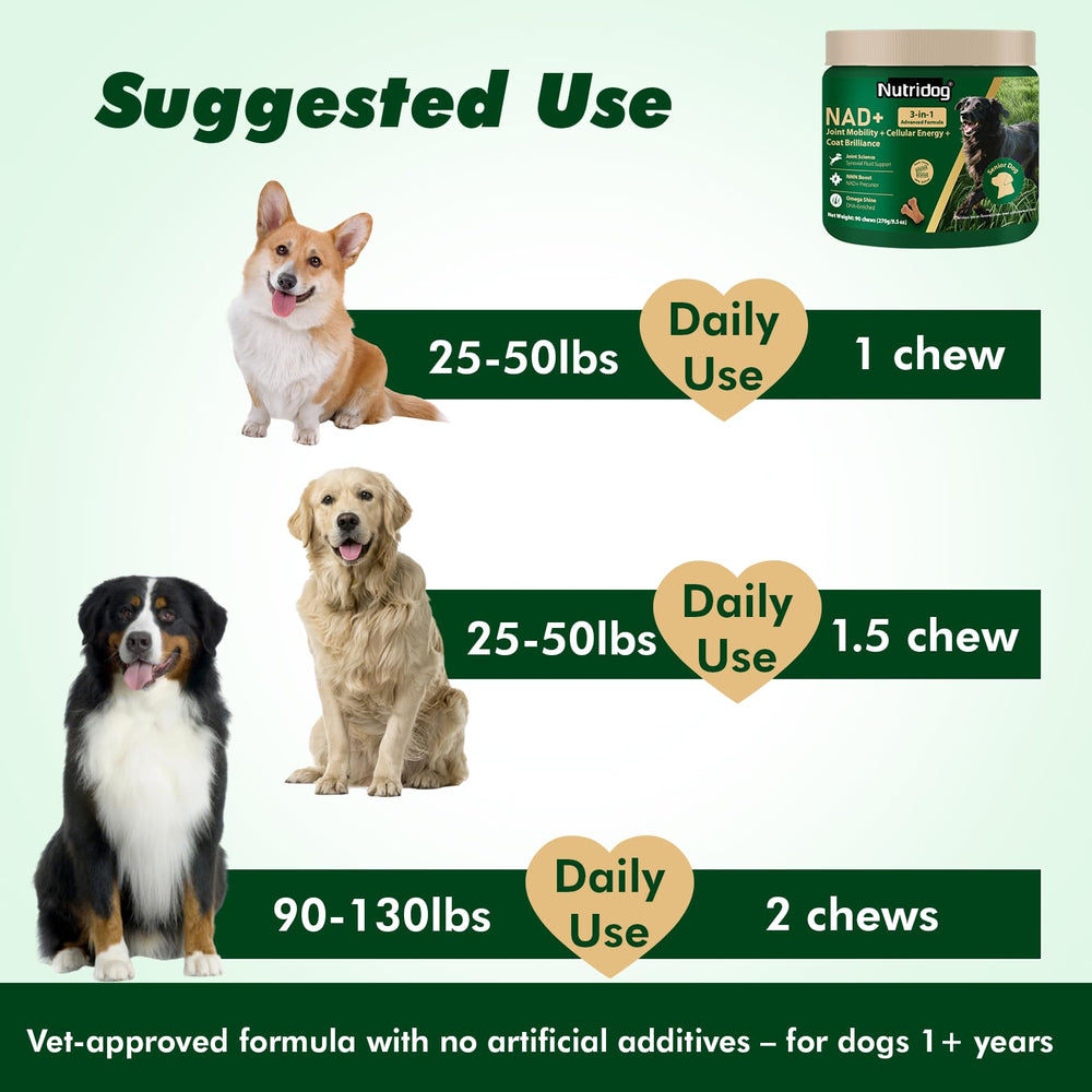 Nutridog NMN formule sans maïs, sans soja et sans additifs: choix sûr.
