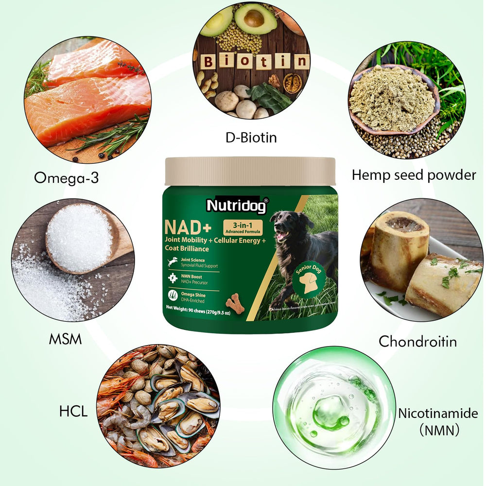 Nutridog NMN gommes douces saveur bacon: friables et appétentes, faciles à donner.