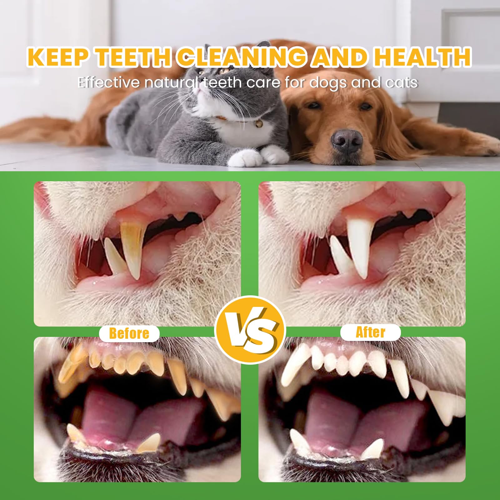 Nutridog poudre dentaires adhère facilement aux croquettes pour un usage pratique.