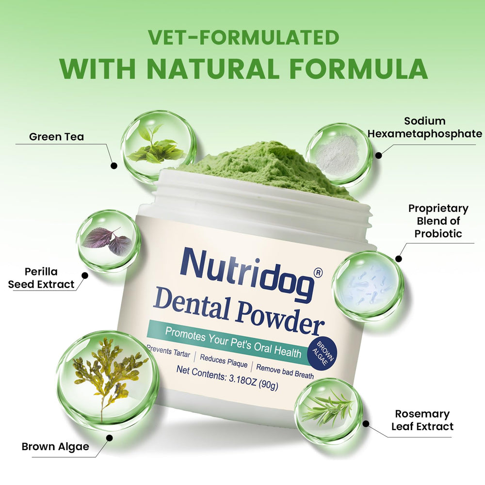 Poudre dentaire Nutridog avec doseur inclus pour doser facilement à chaque repas.