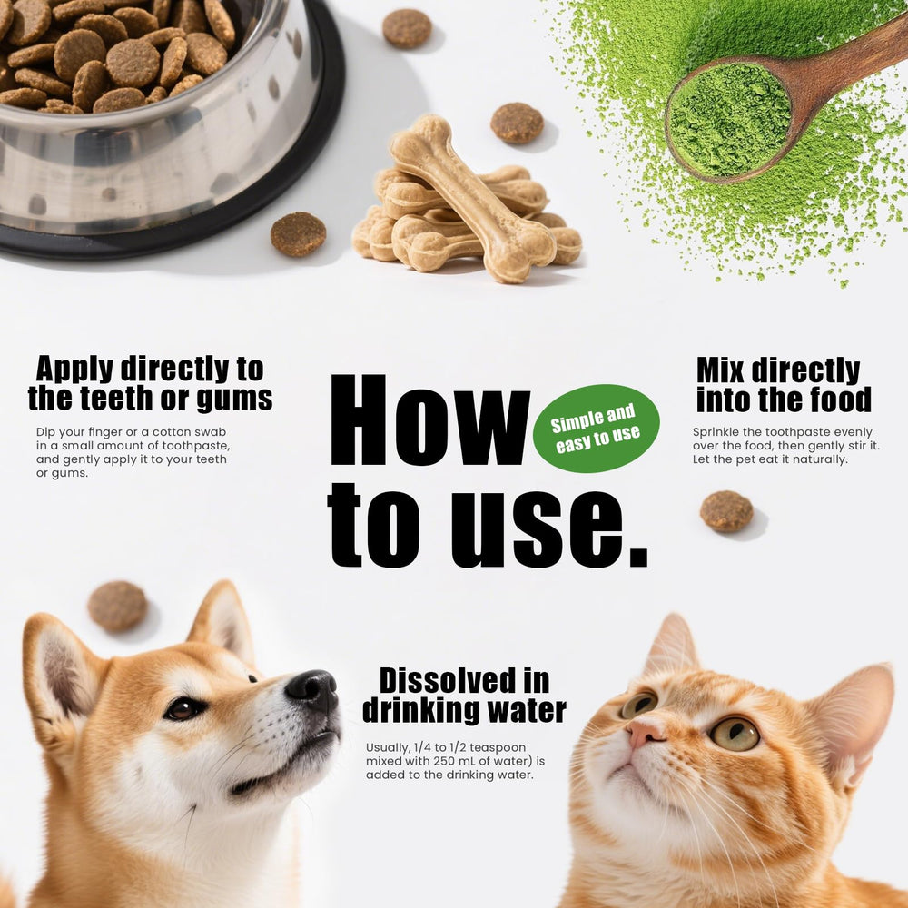 Nutridog poudre dentaires mélange probiotiques pour favoriser digestion et haleine.