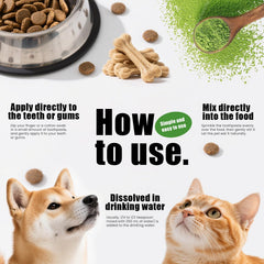 Nutridog poudre dentaires mélange probiotiques pour favoriser digestion et haleine.