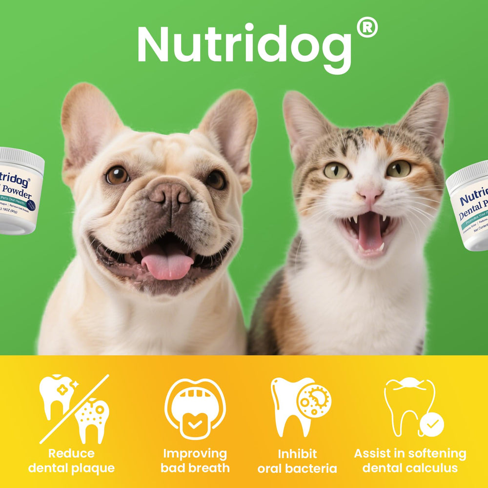 Nutridog poudre dentaires romarin et thé vert pour une fraîcheur naturelle.