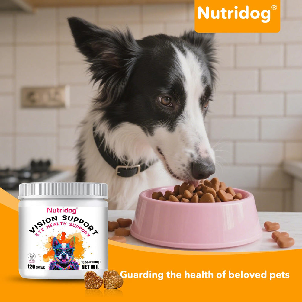 Nutridog usage quotidien senior chien, solution pratique pour la routine santé oculaire.