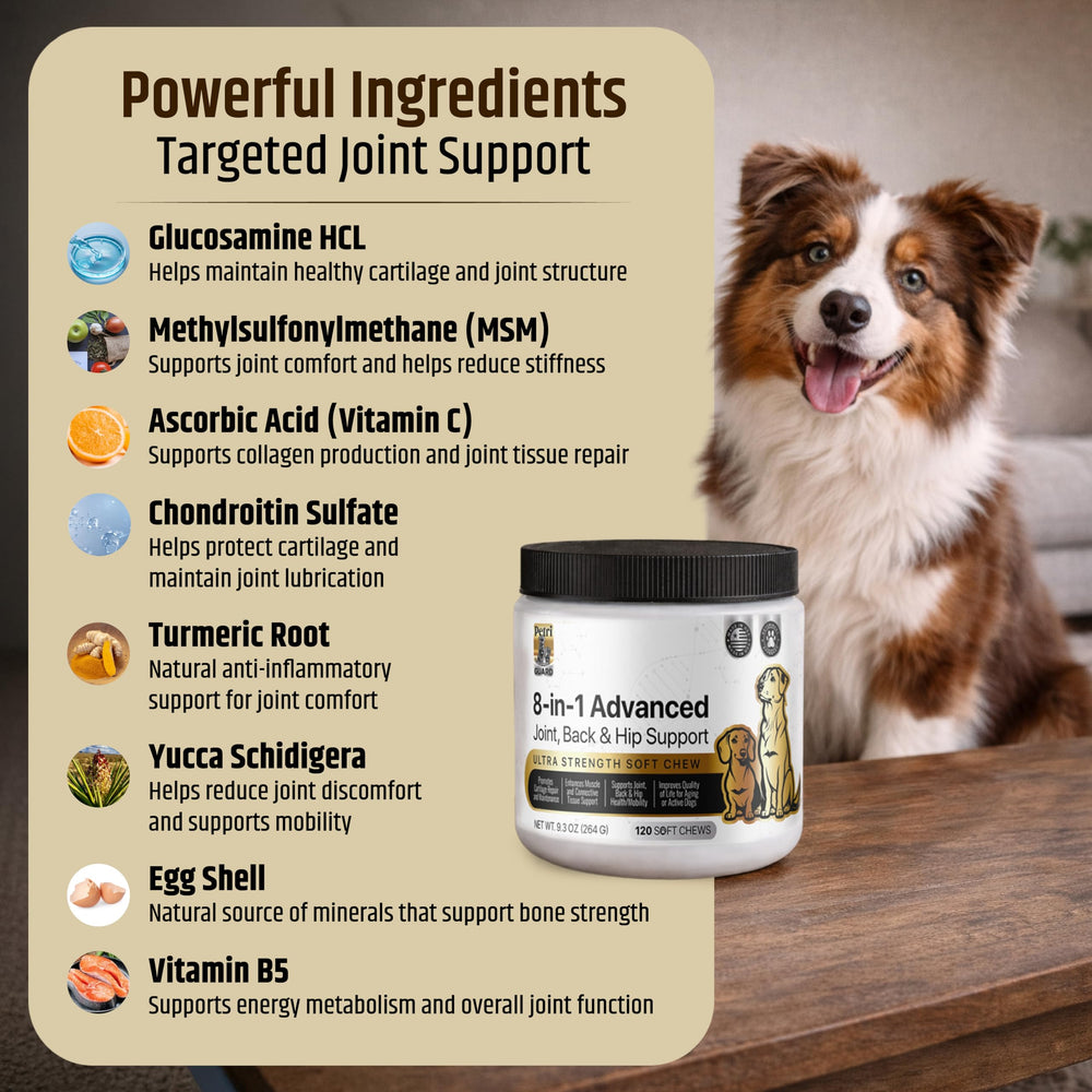 Nutrimend IQ PetriGuard bouchées mobilité, aide à rester actif et joueur.