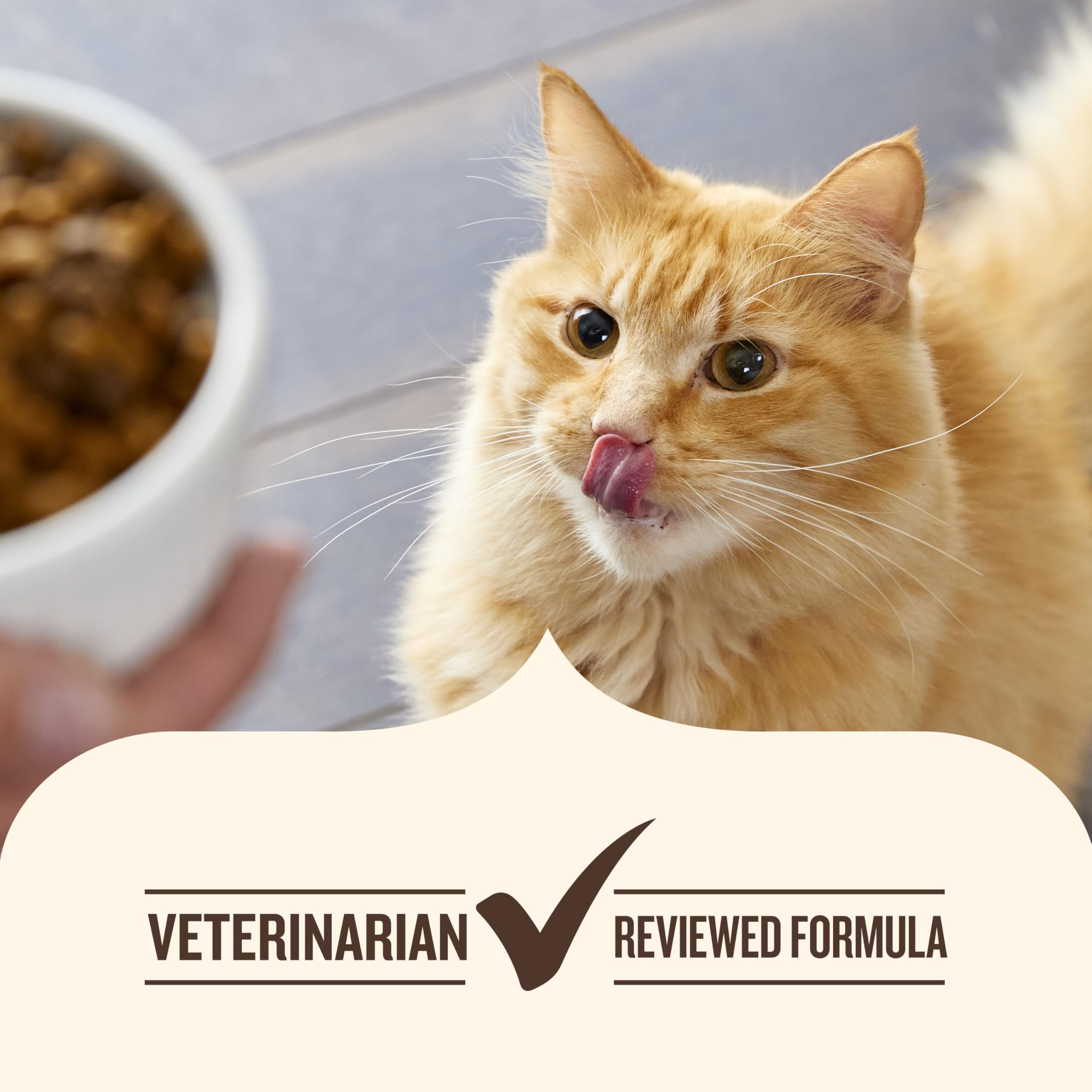 Nutrish alimentation complète chat: saveur et équilibre