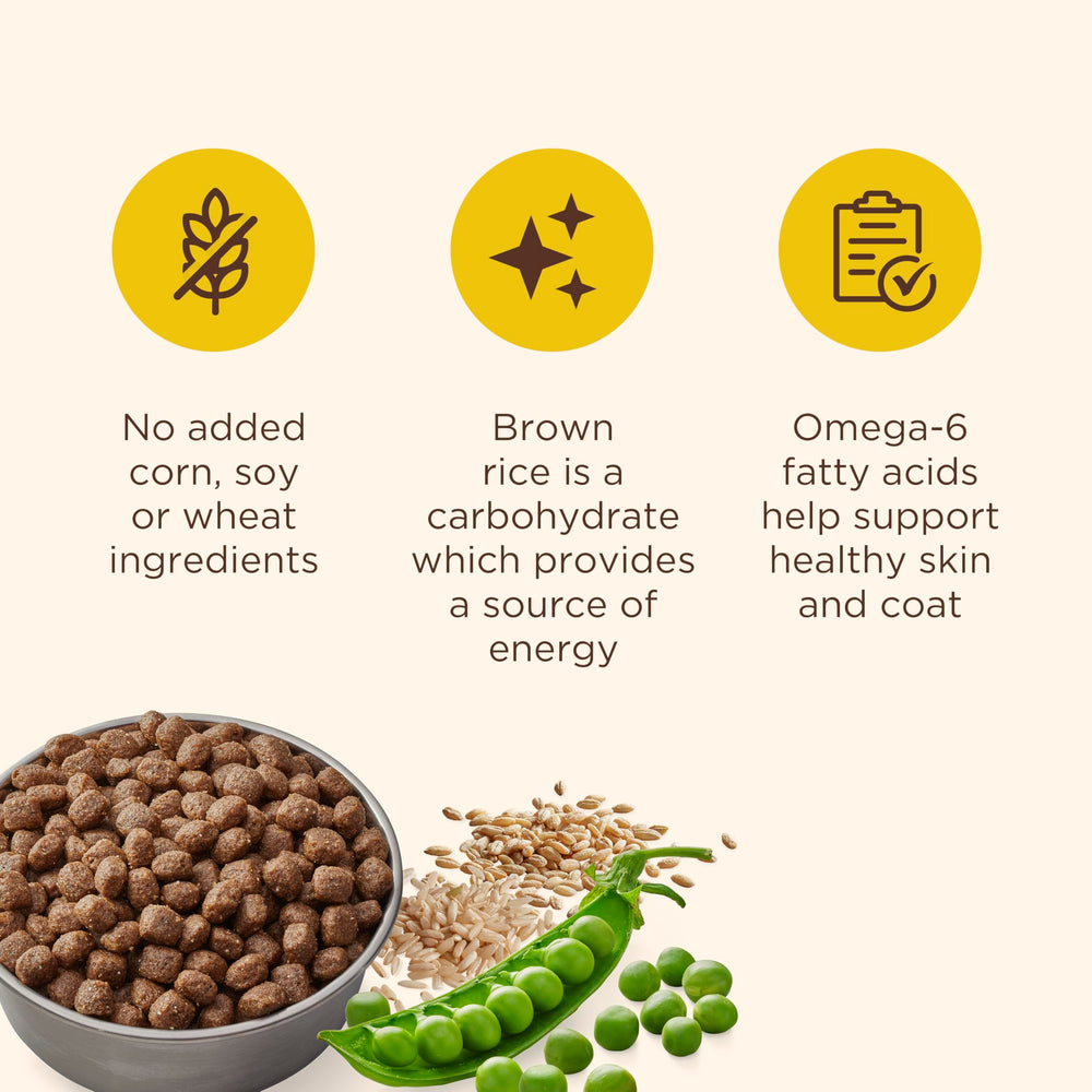 Nutrish assiette chien en train de manger, repas pratique.
