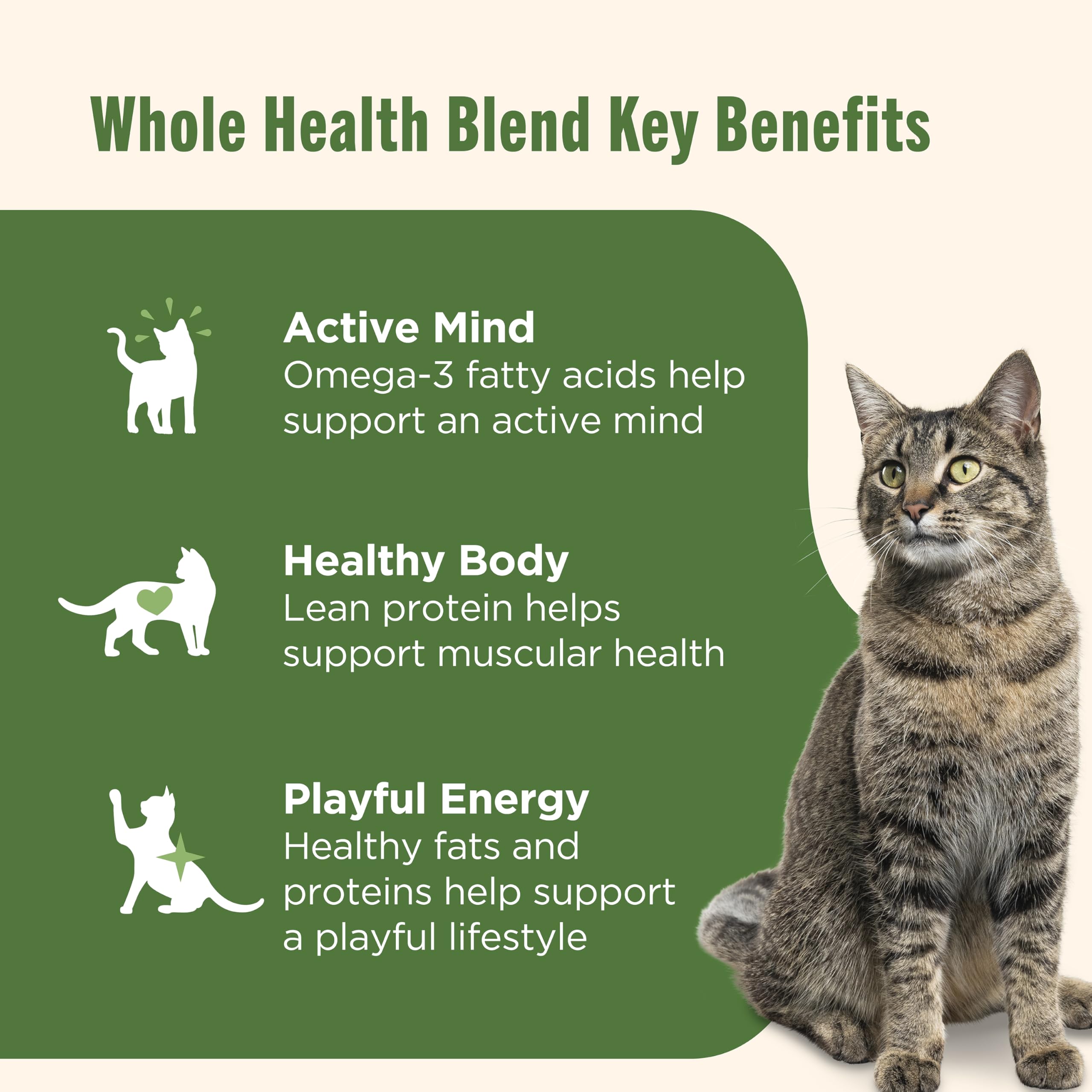 Nutrish Chat Purrcata: pâte sans céréales adaptée aux chats sensibles.