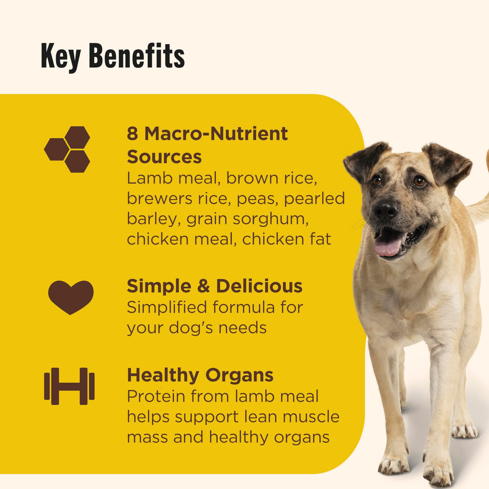 Nutrish texture croquettes, aspect croustillant pour le repas.