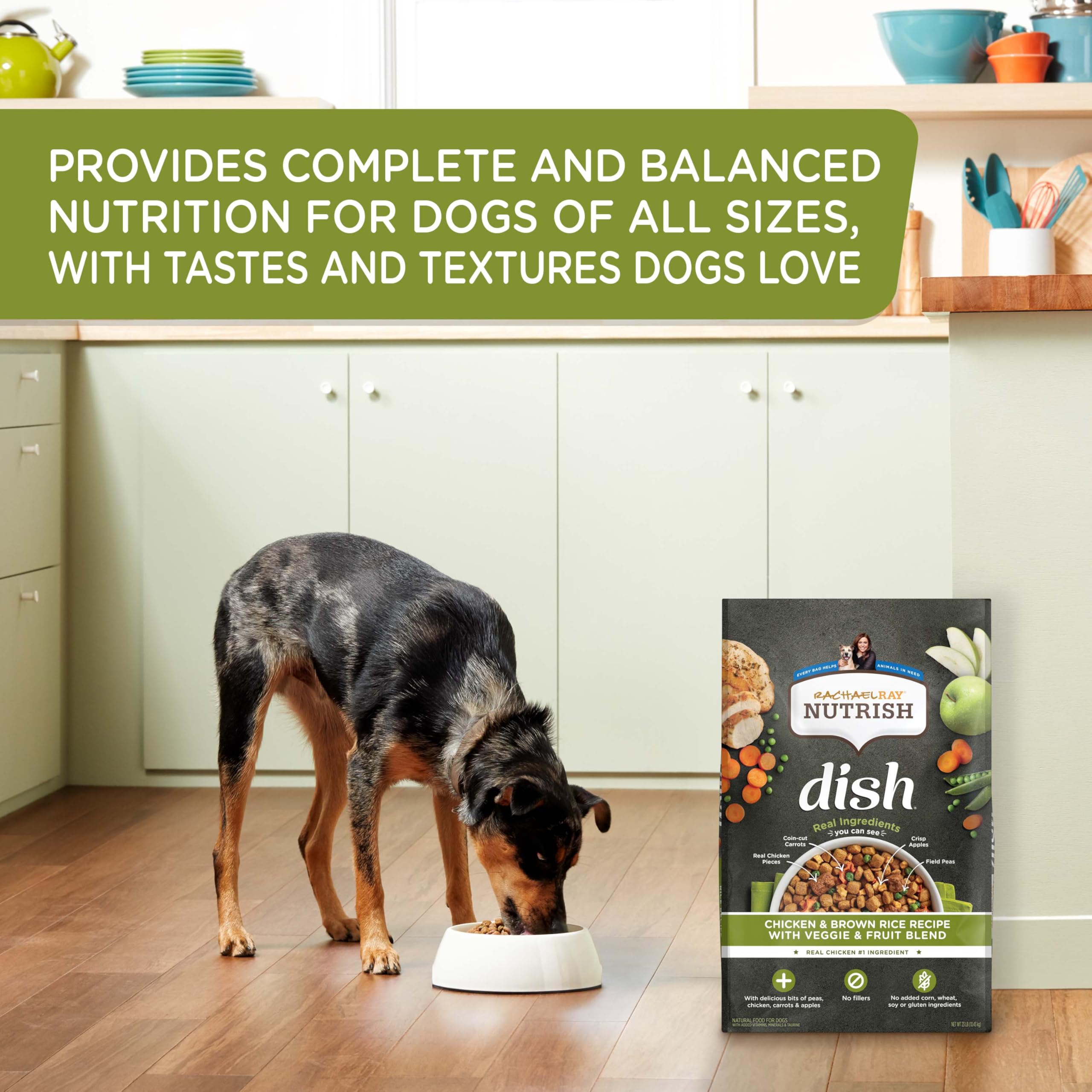 Nutrish Dish bol-chien : repas appétissant pour chien