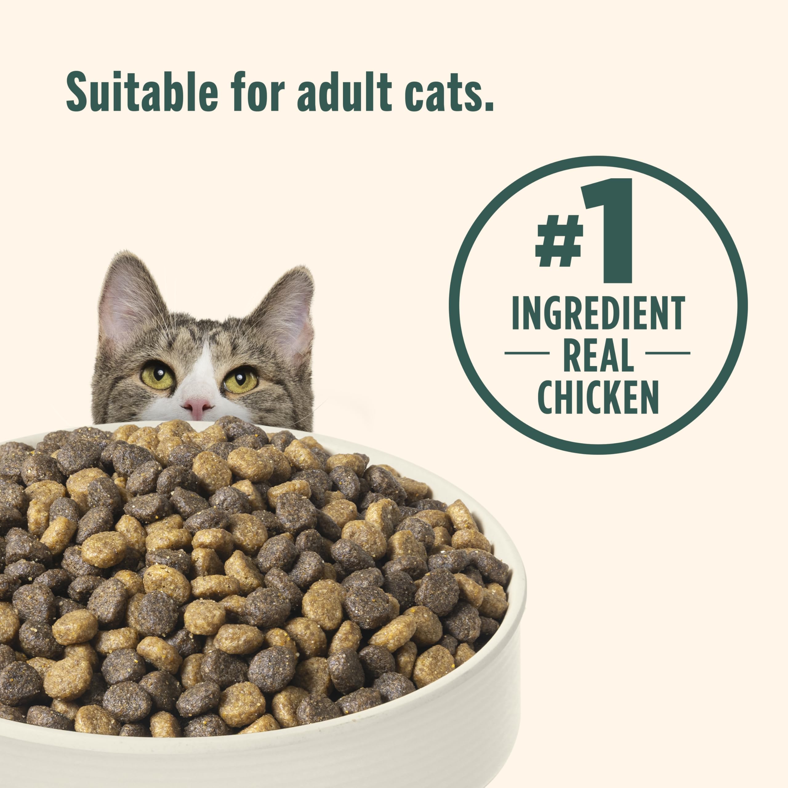 Nutrish Indoor Complete, formule indoor-blend adaptée aux chats d’intérieur