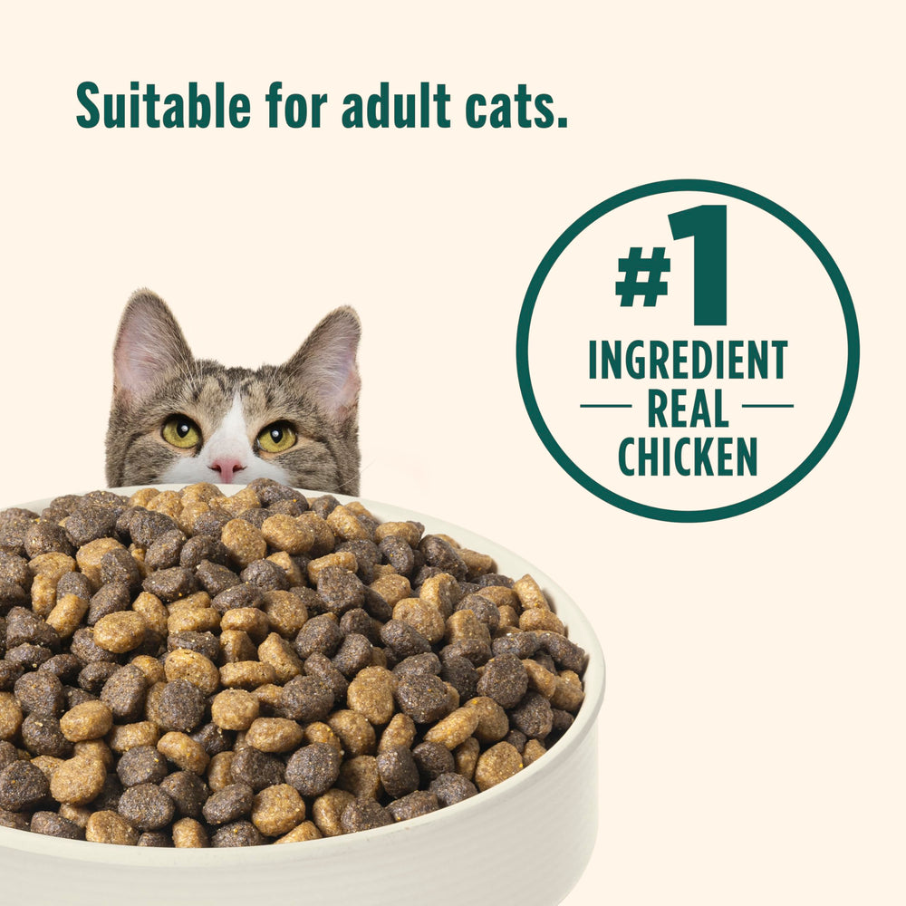Nutrish Indoor saveurs-naturelles-poulet-saumon, expérience gustative