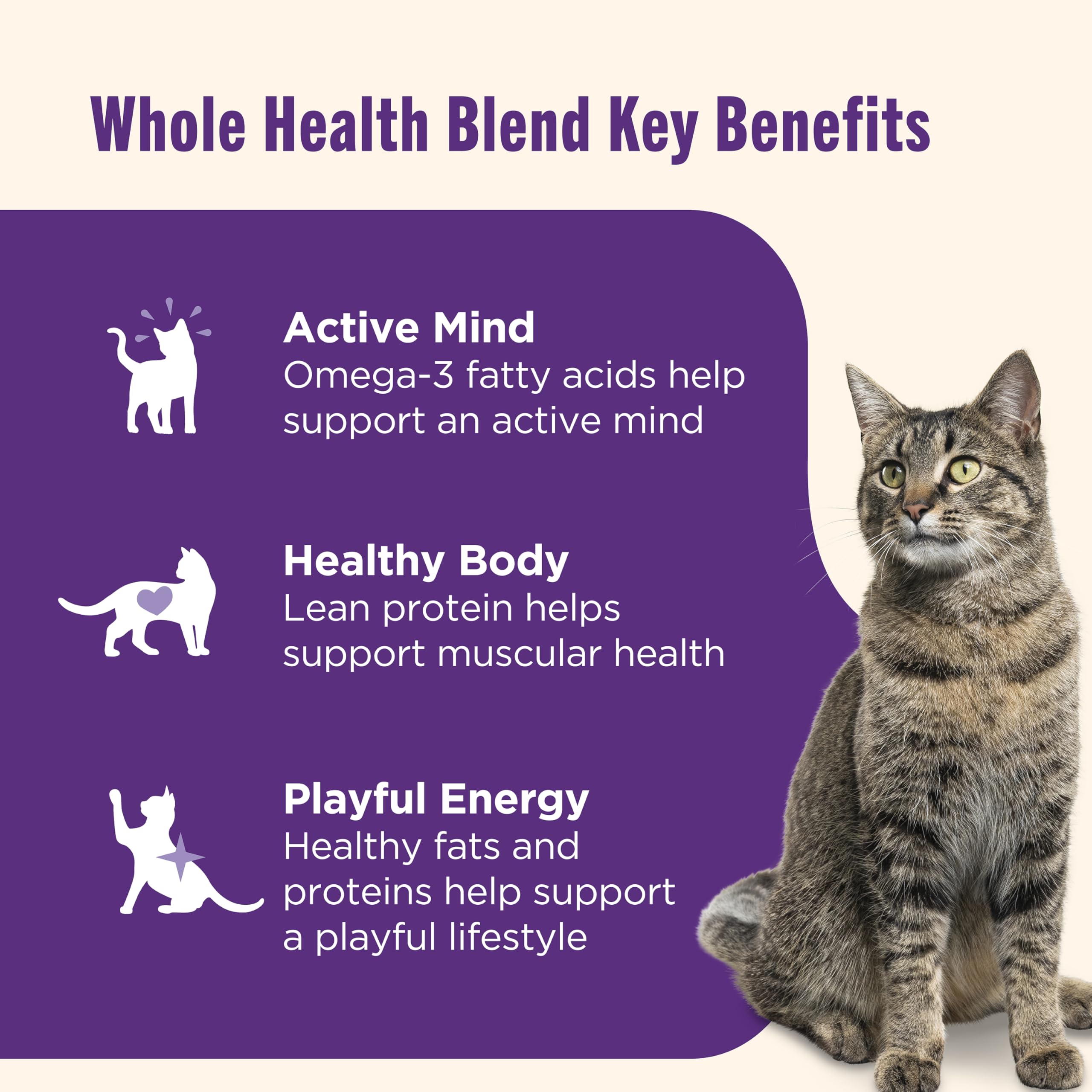 Sans céréales Nutrish, option adaptée pour chats sensibles.