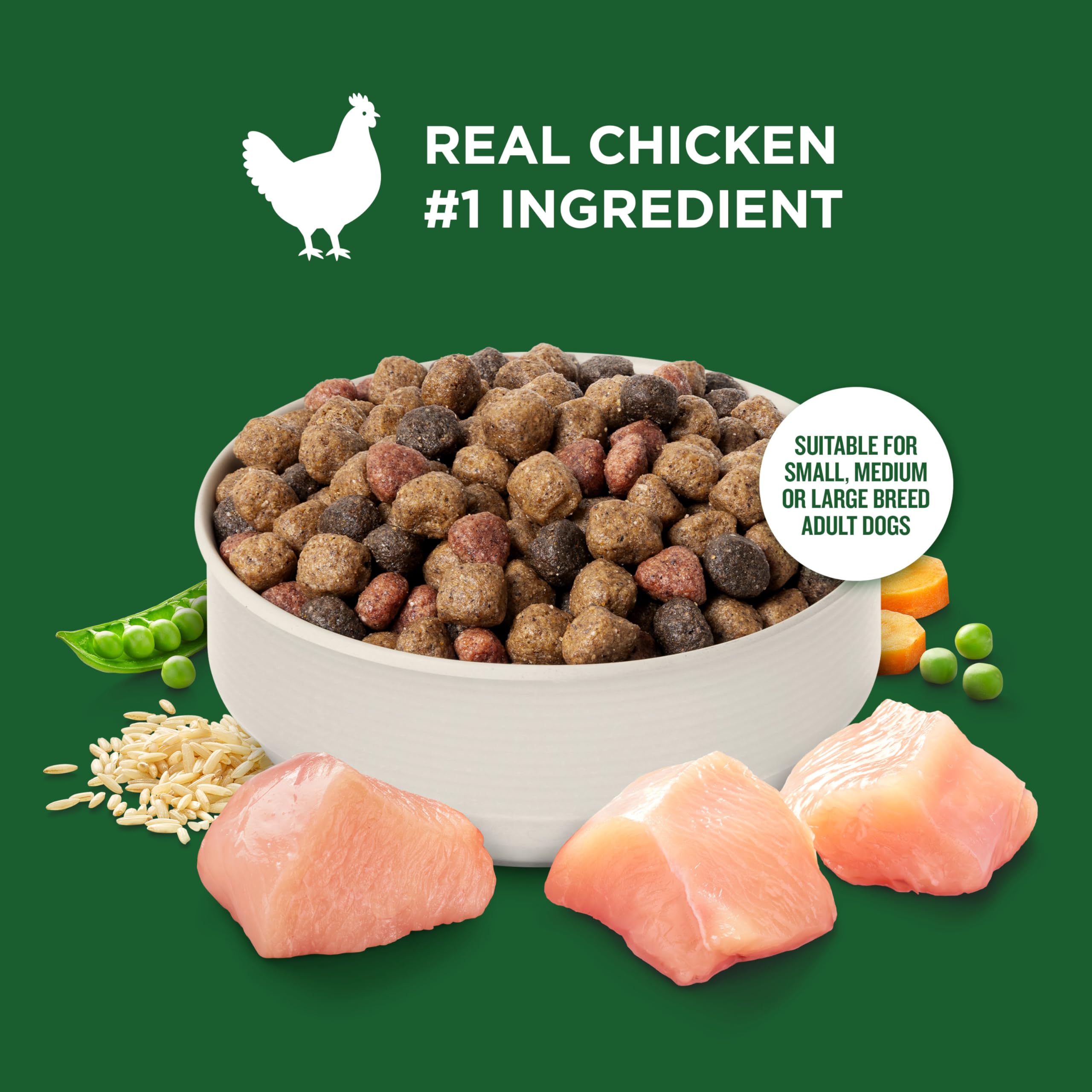 Nutrish Rachael Ray: bol de nourriture appétissant et prêt à servir.