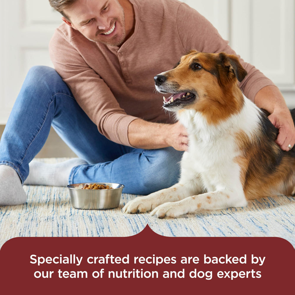 Nutrish Rachael Ray – adaptée à toutes tailles de chiens adultes