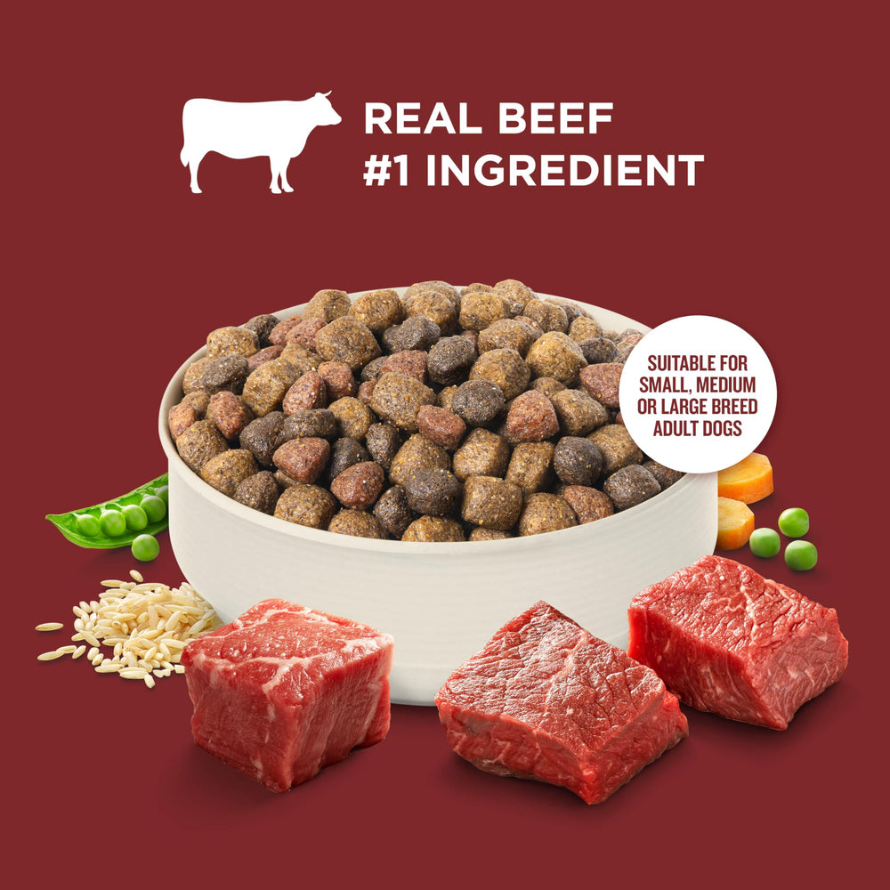 Nutrish Rachael Ray – formule nutrition équilibrée pour chien adulte