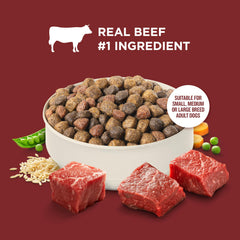 Nutrish Rachael Ray – formule nutrition équilibrée pour chien adulte