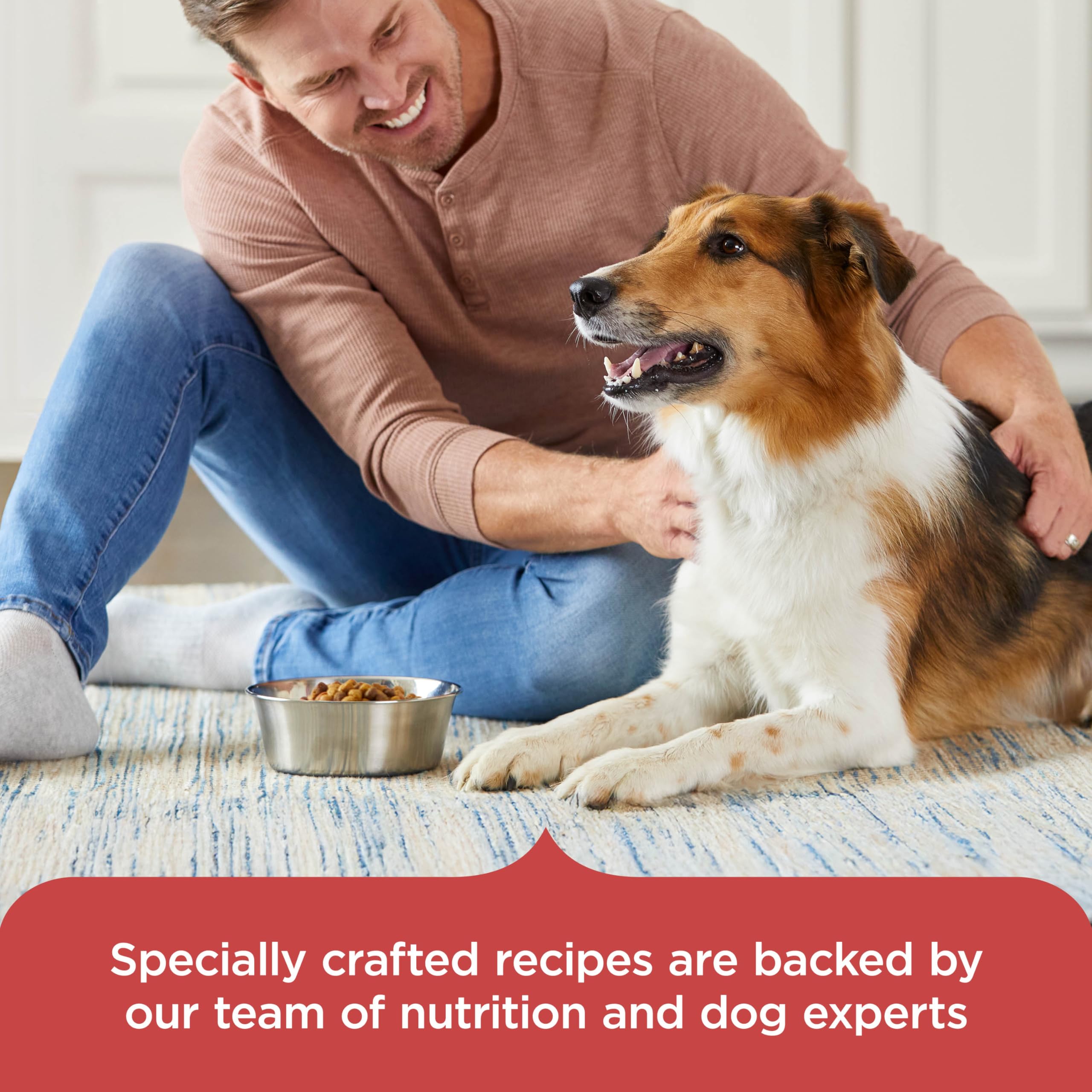 Nutrish Rachael Ray – ingrédients mondiaux et fabrication responsable.