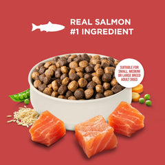 Nutrish Rachael Ray – sans-aromes-artificiels, goût naturel apprécié.