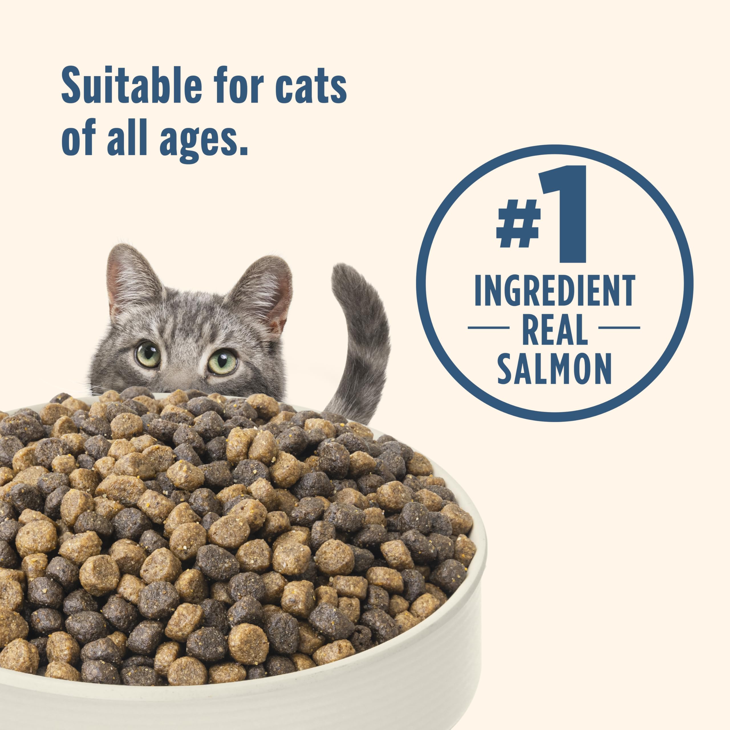 Nutrish saumon réel et riz brun, protéines de haute qualité pour l'activité