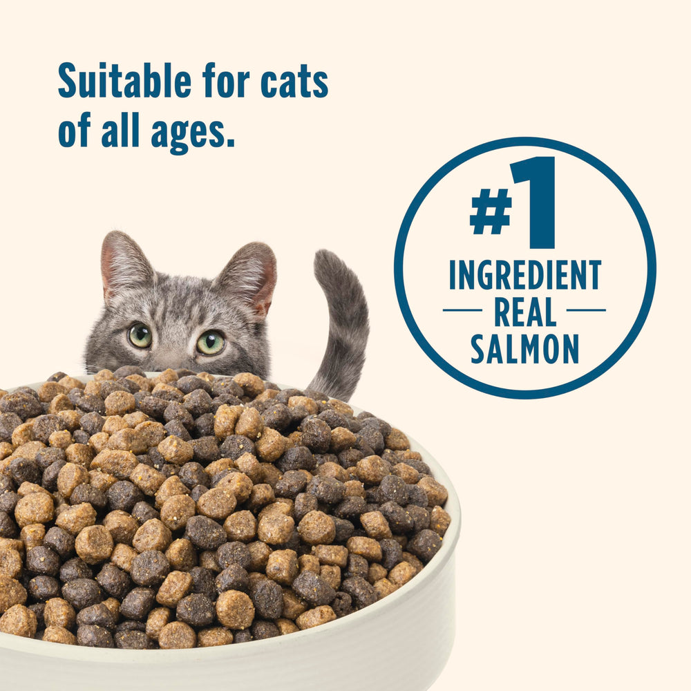 Nutrish saumon réel et riz brun, protéines de haute qualité pour l'activité