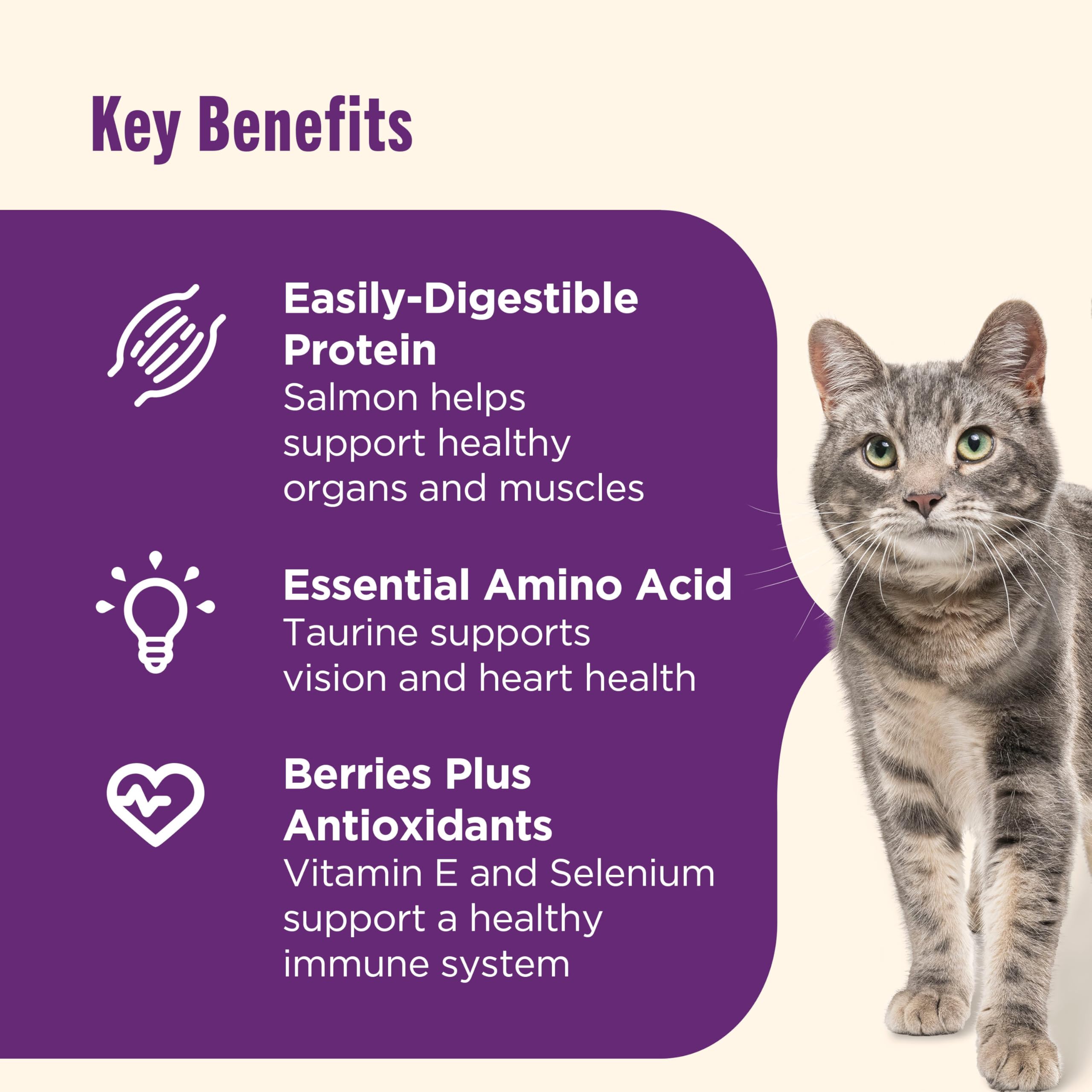 Nutrish Senior Healthy Aging croquettes aux baies, antioxydants pour l'immunité.