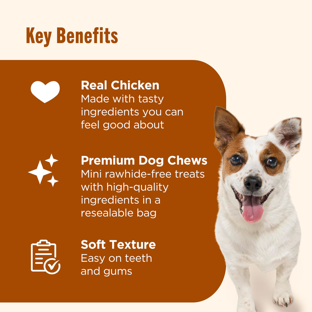 Sans rawhide Nutrish Soup Bones Minis bouchées faciles à mâcher