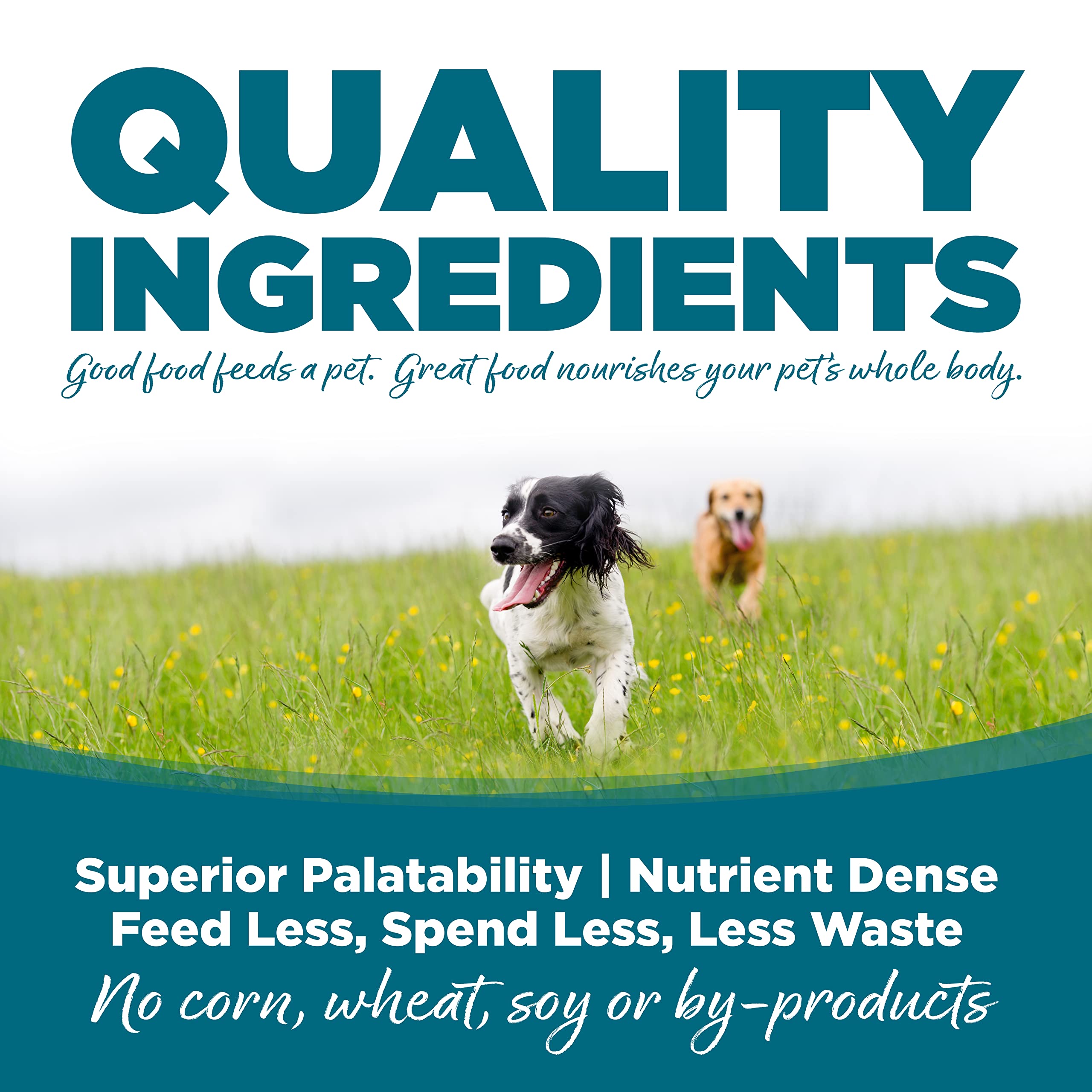 NutriSource bol eau croquettes poulet et riz, repas hydratant