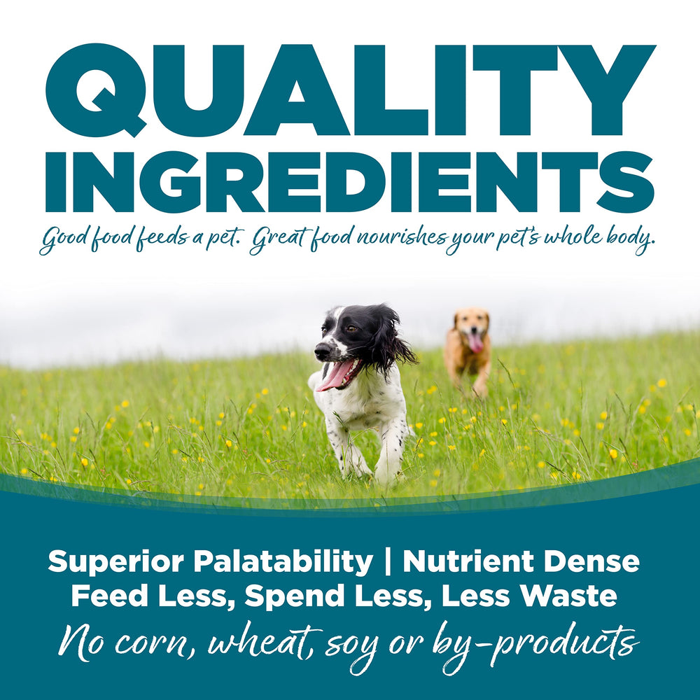 NutriSource bol eau croquettes poulet et riz, repas hydratant