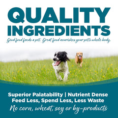 NutriSource bol eau croquettes poulet et riz, repas hydratant